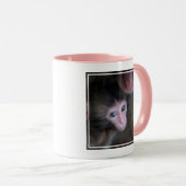 Niedliche Kleintiere | Baby Macaque Monkey & Mothe Tasse (VorderseiteRechts)