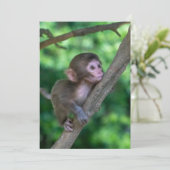 Niedliche Kleintiere | Baby Monkey Dankeskarte (Stehend Vorderseite)
