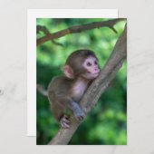 Niedliche Kleintiere | Baby Monkey Dankeskarte (Vorne/Hinten)