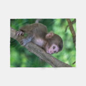Niedliche Kleintiere | Baby Monkey Fleecedecke (Vorderseite (Horizontal))