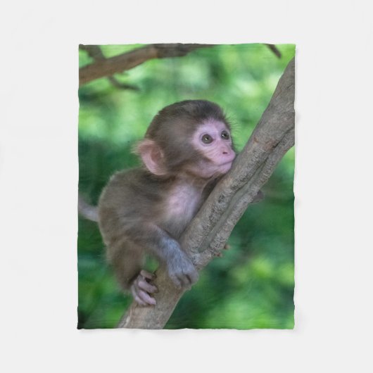 Niedliche Kleintiere | Baby Monkey Fleecedecke (Vorderseite)