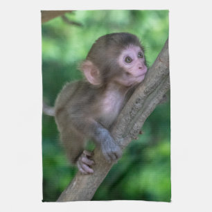 Niedliche Kleintiere   Baby Monkey Geschirrtuch