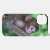 Niedliche Kleintiere | Baby Monkey iPhone Hülle (Rückseite (Horizontal))