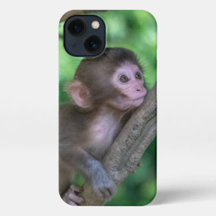 Niedliche Kleintiere   Baby Monkey iPhone 13 Hülle