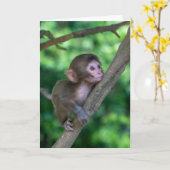 Niedliche Kleintiere | Baby Monkey Karte (Gelbe Blume)
