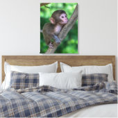 Niedliche Kleintiere | Baby Monkey Leinwanddruck (Insitu (Schlafzimmer))