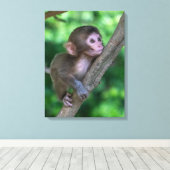 Niedliche Kleintiere | Baby Monkey Leinwanddruck (Insitu (Holzboden))