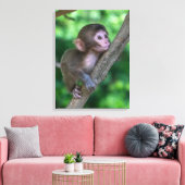 Niedliche Kleintiere | Baby Monkey Leinwanddruck (Insitu (Wohnzimmer))