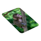 Niedliche Kleintiere | Baby Monkey Magnet (Rechte Seite)