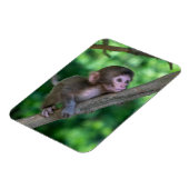 Niedliche Kleintiere | Baby Monkey Magnet (Linke Seite)