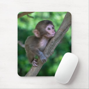 Niedliche Kleintiere   Baby Monkey Mousepad
