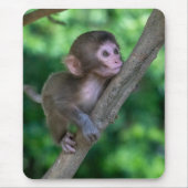 Niedliche Kleintiere | Baby Monkey Mousepad (Vorne)