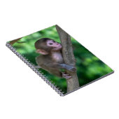 Niedliche Kleintiere | Baby Monkey Notizblock (Rechte Seite)