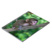 Niedliche Kleintiere | Baby Monkey Notizblock (Linke Seite)