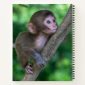 Niedliche Kleintiere | Baby Monkey Notizblock (Rückseite)