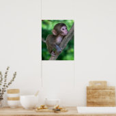 Niedliche Kleintiere | Baby Monkey Poster (Küche)