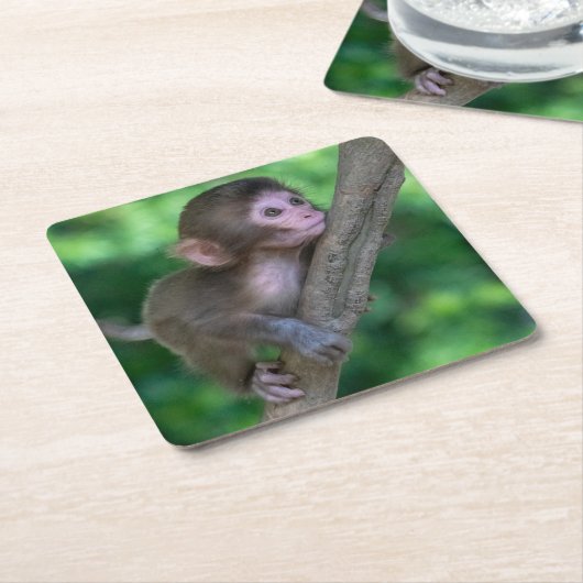 Niedliche Kleintiere | Baby Monkey Rechteckiger Pappuntersetzer (angewinkelt)
