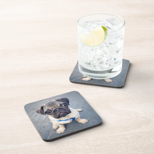 Niedliche Kleintiere | Baby Mops Getränkeuntersetzer (Rechte Seite)