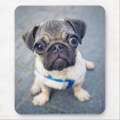 Niedliche Kleintiere | Baby Mops Mousepad (Vorne)