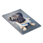 Niedliche Kleintiere | Baby Mops Notizblock (Rechte Seite)