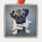 Niedliche Kleintiere | Baby Mops Ornament Aus Metall (Vorne)