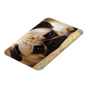 Niedliche Kleintiere | Baby Mops Puppy Magnet (Linke Seite)