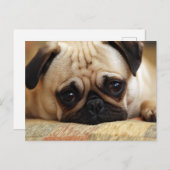 Niedliche Kleintiere | Baby Mops Puppy Postkarte (Vorne/Hinten)