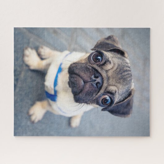 Niedliche Kleintiere | Baby Mops Puzzle (Horizontal)