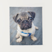 Niedliche Kleintiere | Baby Mops Wandteppich (Vorderseite)