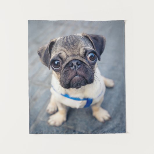 Niedliche Kleintiere | Baby Mops Wandteppich (Vorderseite)