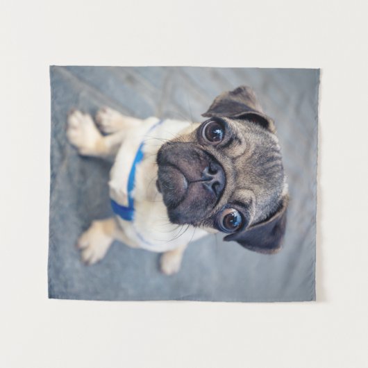 Niedliche Kleintiere | Baby Mops Wandteppich (Vorderseite (Horizontal))