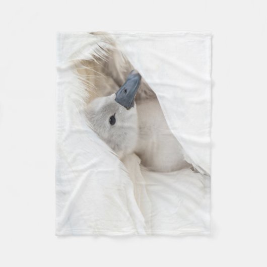 Niedliche Kleintiere | Baby Mute Swan Fleecedecke (Vorderseite)