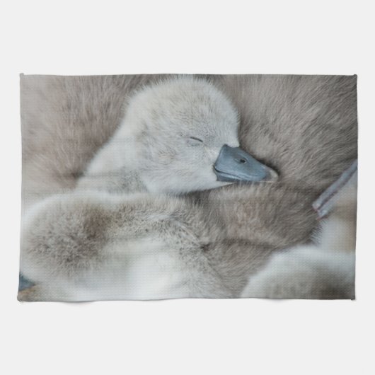 Niedliche Kleintiere | Baby Mute Swan Geschirrtuch (Horizontal)