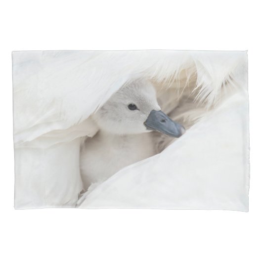 Niedliche Kleintiere | Baby Mute Swan Kissenbezug (Vorderseite)
