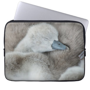 Niedliche Kleintiere   Baby Mute Swan Laptopschutzhülle