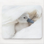 Niedliche Kleintiere | Baby Mute Swan Mousepad (Vorne)