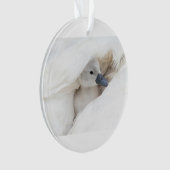 Niedliche Kleintiere | Baby Mute Swan Ornament (Vorderseite)