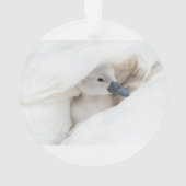 Niedliche Kleintiere | Baby Mute Swan Ornament (Rückseite)