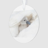 Niedliche Kleintiere | Baby Mute Swan Ornament (Vorderseite)