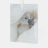 Niedliche Kleintiere | Baby Mute Swan Ornament Aus Glas (Vorderseite links)