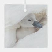 Niedliche Kleintiere | Baby Mute Swan Ornament Aus Glas (Vorderseite)
