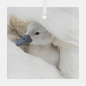 Niedliche Kleintiere | Baby Mute Swan Ornament Aus Glas (Rückseite)