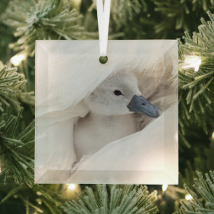 Niedliche Kleintiere   Baby Mute Swan Ornament Aus Glas
