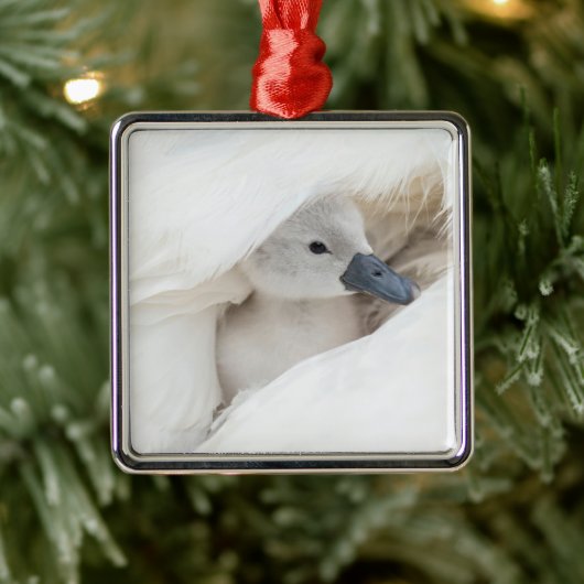 Niedliche Kleintiere | Baby Mute Swan Ornament Aus Metall (Baum)