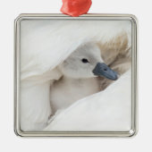 Niedliche Kleintiere | Baby Mute Swan Ornament Aus Metall (Vorne)