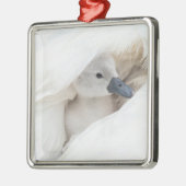 Niedliche Kleintiere | Baby Mute Swan Ornament Aus Metall (Links)