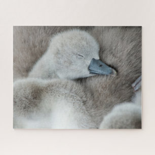 Niedliche Kleintiere Baby Mute Swan Puzzle