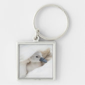 Niedliche Kleintiere | Baby Mute Swan Schlüsselanhänger (Vorne)