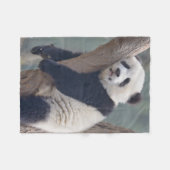 Niedliche Kleintiere | Baby Panda Bärenzucht Fleecedecke (Vorderseite (Horizontal))
