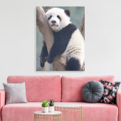 Niedliche Kleintiere | Baby Panda Bärenzucht Leinwanddruck (Insitu (Wohnzimmer))